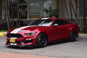 
									FORD MUSTANG SHELBY GT350 completo								