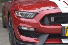 
									FORD MUSTANG SHELBY GT350 completo								