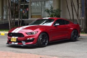 
									FORD MUSTANG SHELBY GT350 completo								