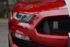 
									FORD MUSTANG SHELBY GT350 completo								