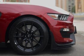 
									FORD MUSTANG SHELBY GT350 completo								